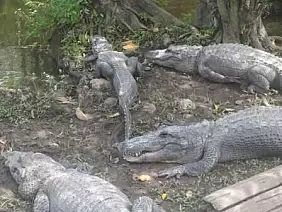 universal-studios-themepark-ygstw