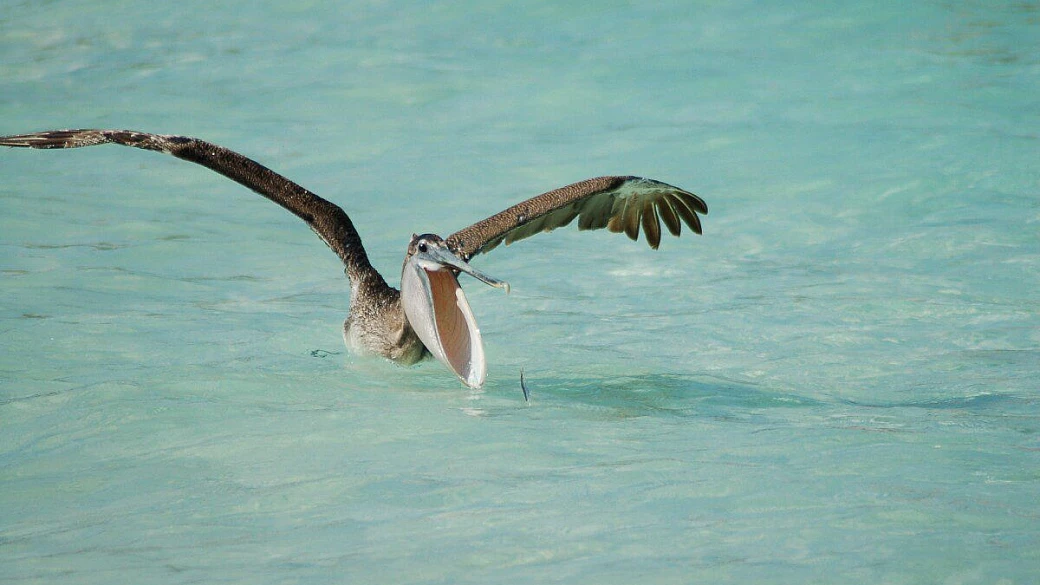 riviera maya: il riposo del guerriero