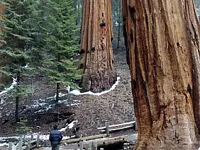 usa-west-coast-ak2cy