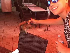 usa-west-coast-bbkvd