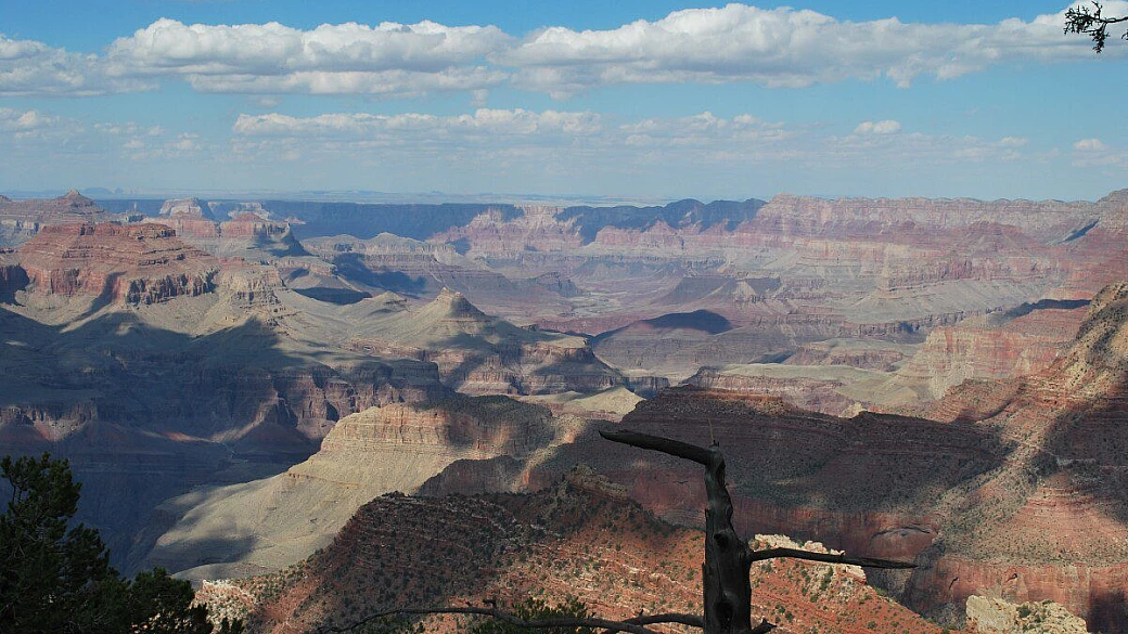 stati uniti e baja california: tour fra rocce, cactus, cowboys e balene