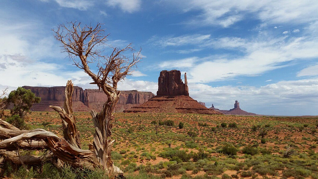 usa west coast: avventure di e disavventure del nostro primo on the road