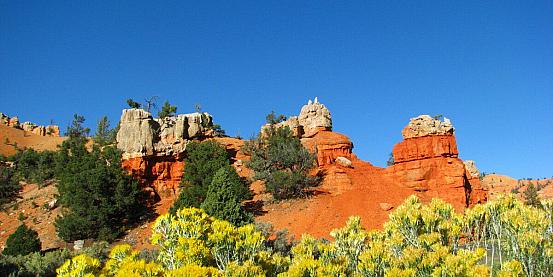 red canyon in dixie national forest, utah