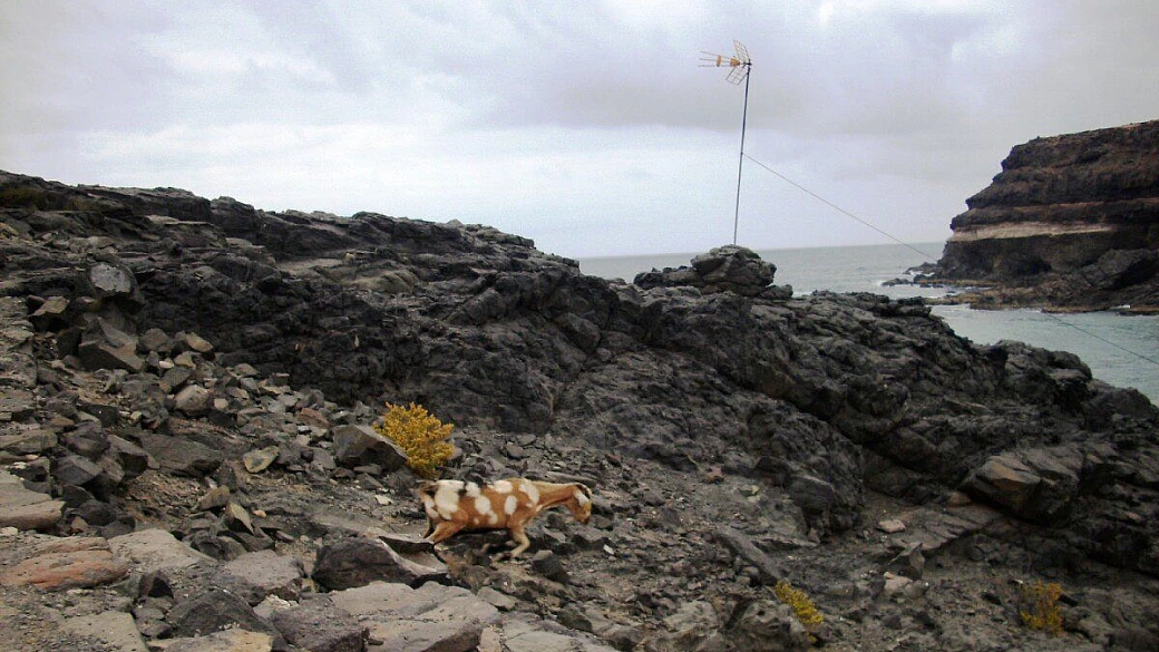 barcellona: qualche consiglio per l'uso