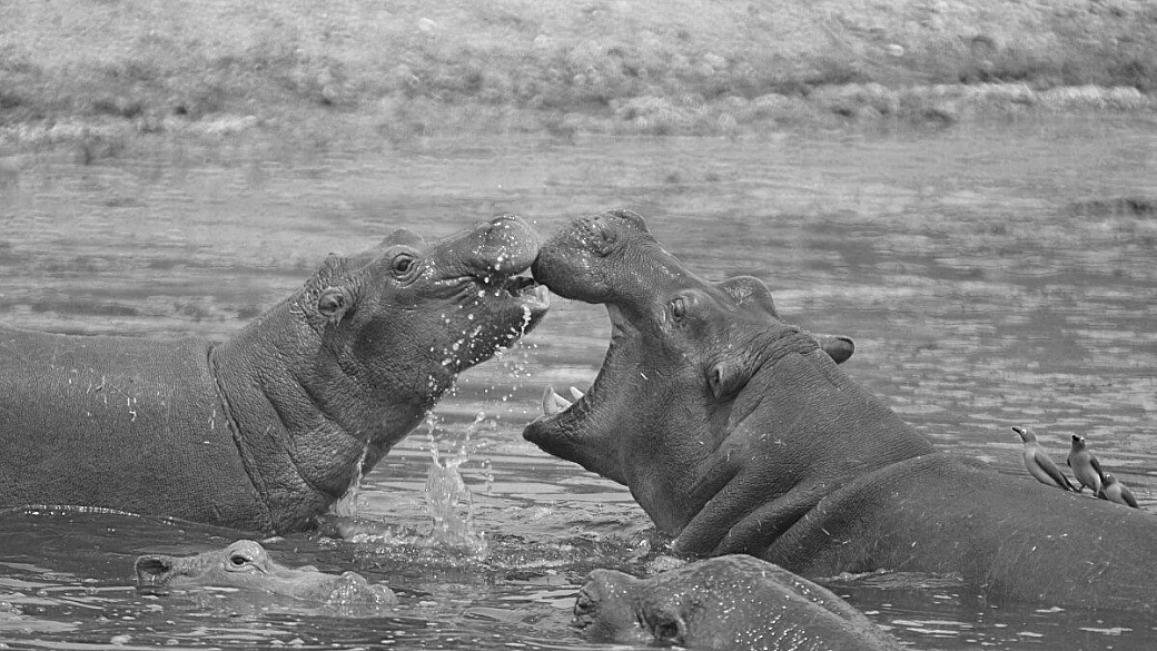 tanzania: oltre lo sguardo del turista