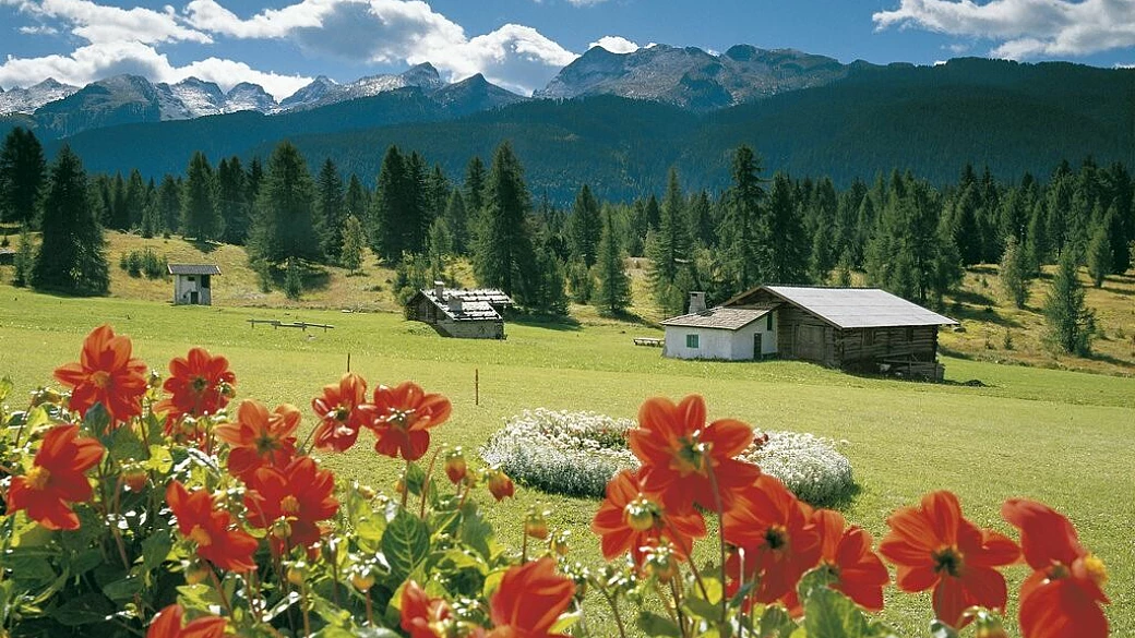 vacanze senz'auto...