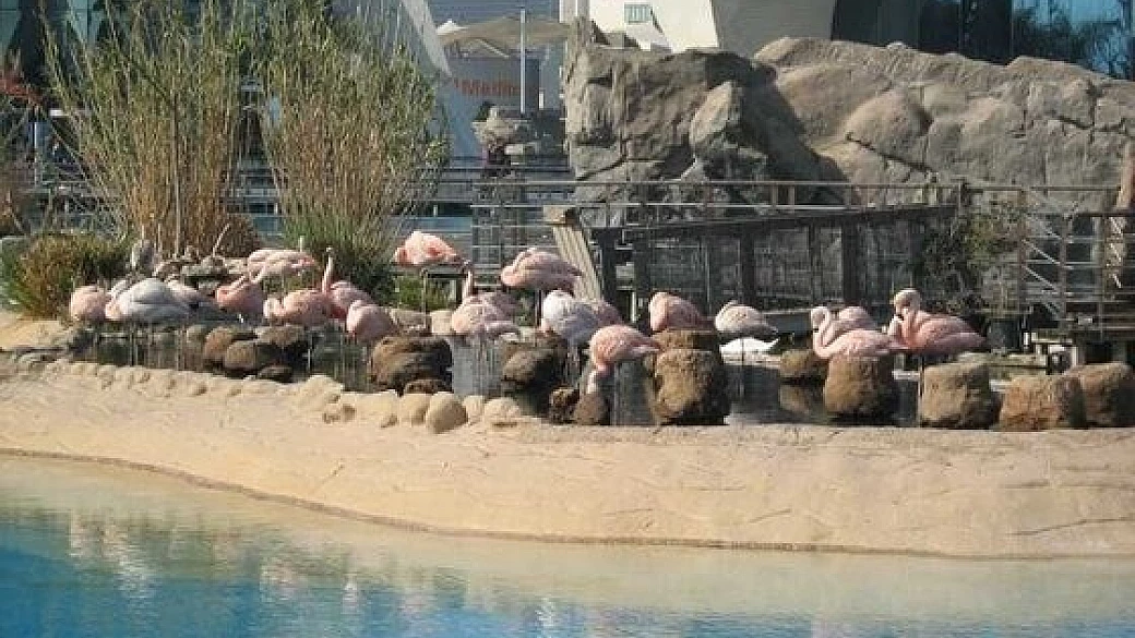 dieci ragioni per visitare valencia