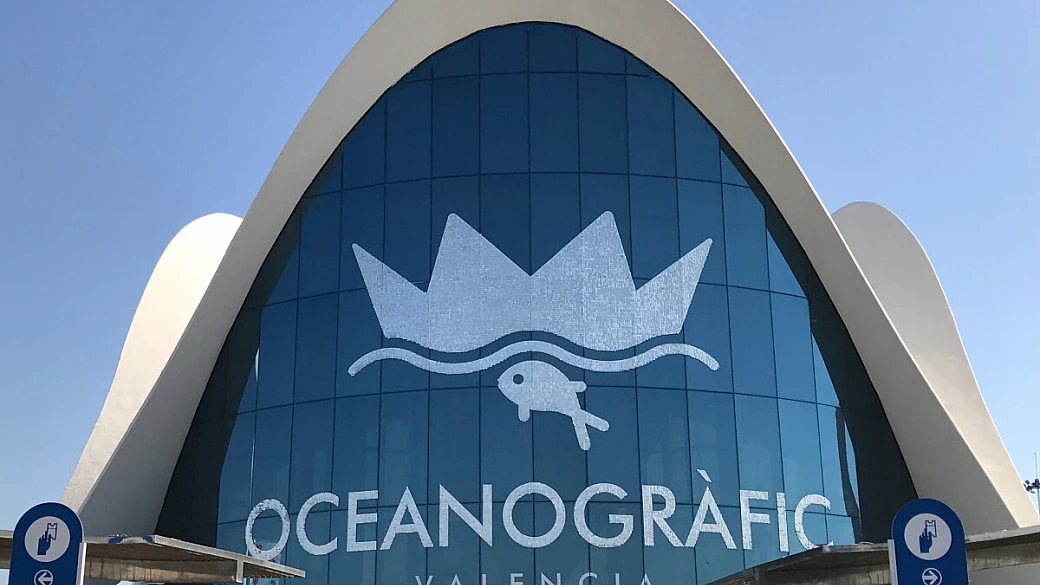 valencia in solitaria