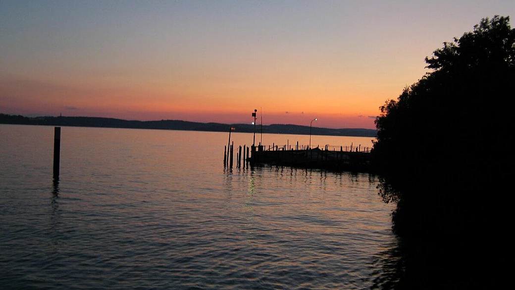 foresta nera, il bis