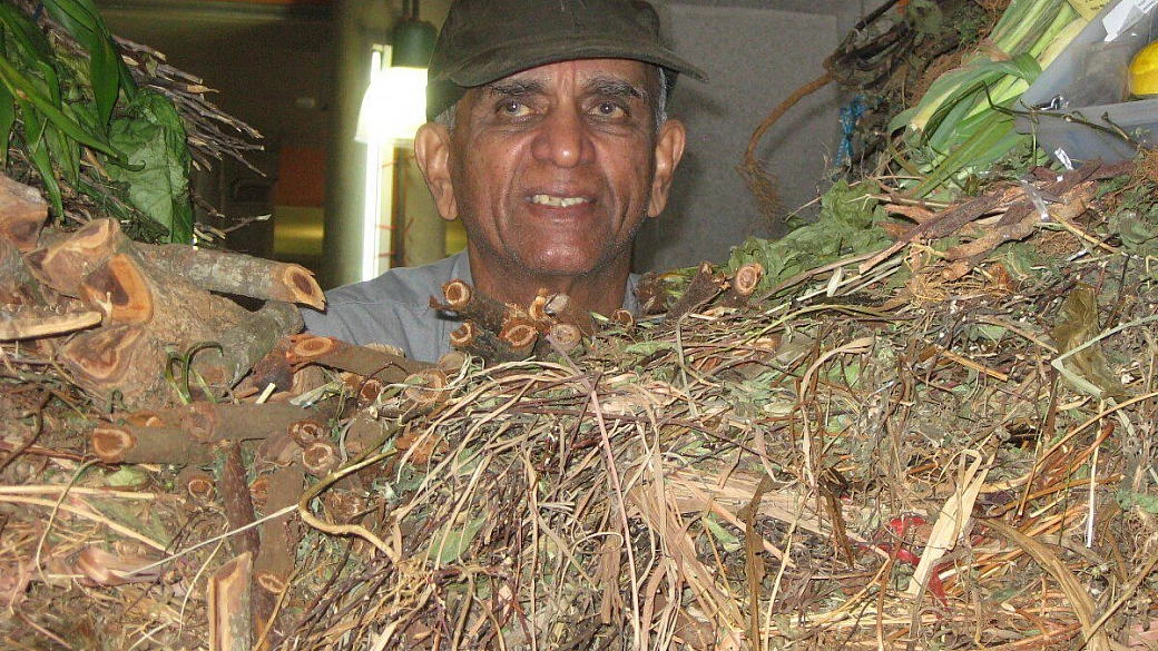 anch'io morivo dalla voglia di cape town