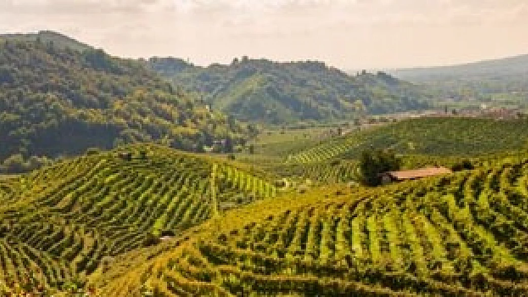 le colline del prosecco di conegliano e valdobbiadene, scoprendo la bellezza unesco del veneto