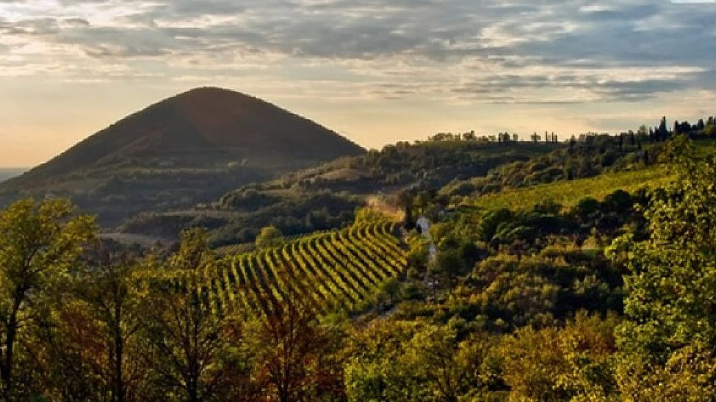 una vacanza ai piedi dei colli euganei!