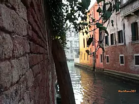 venezia-3vkkm
