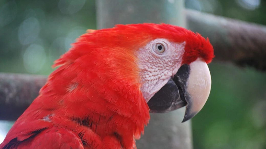 un mese on the road in venezuela