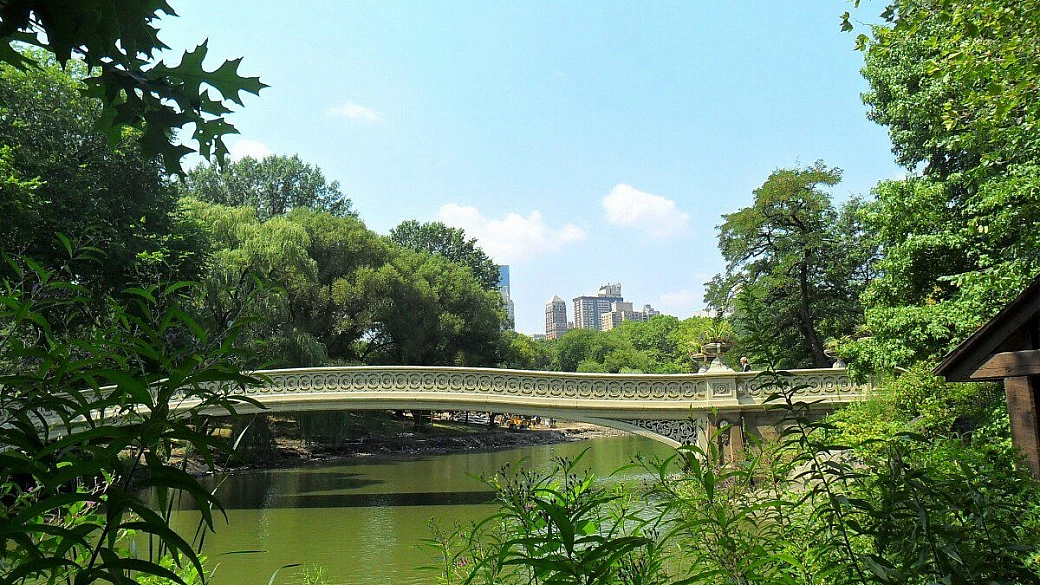 new york, new england, vermont, maine