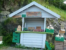 viaggi-con-bambini-phskv