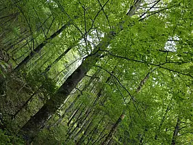 viaggi-con-bambini-rxwjq