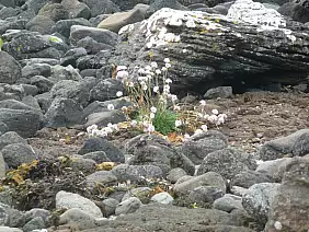 viaggi-con-bambini-t2wut