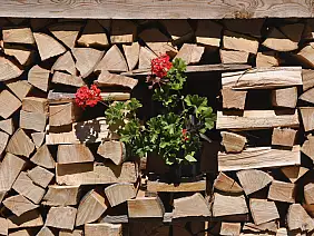 viaggi-con-bambini-vkpet