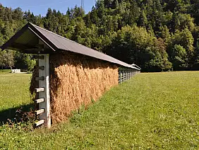 viaggi-con-bambini-w9pcd