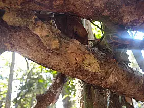 viaggioontheroad-2a1jy