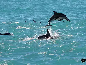 viaggioontheroad-3ftyg