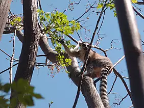 viaggioontheroad-ezea5