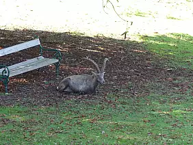 viaggioontheroad-h7vp5