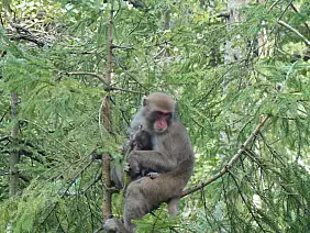 viaggioontheroad-net3d