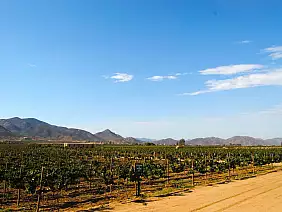 viaggioontheroad-qzk81