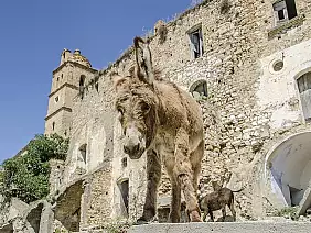 viaggioontheroad-vyx1h