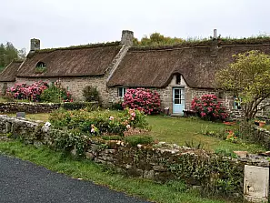 case bretoni