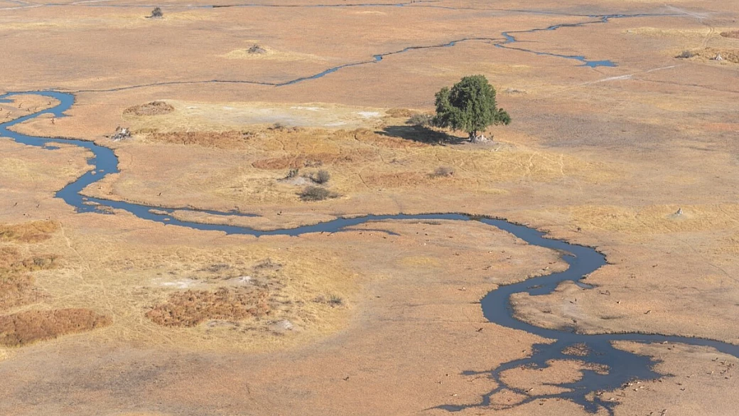 the botswana adventure