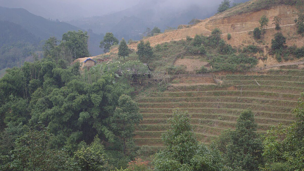 nei meandri della son doong cave