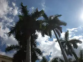 vinales-natura-1c6kc