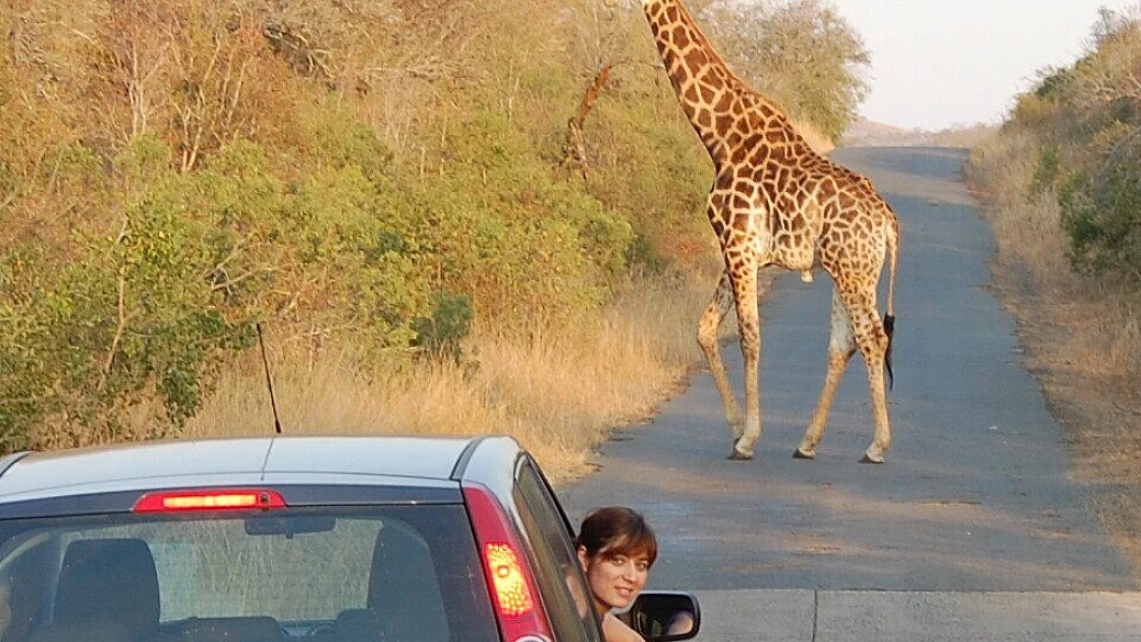 viaggio in macchina in sudafrica