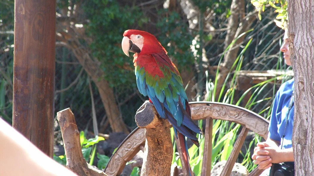 italia - paesi basche