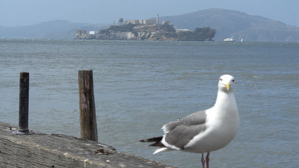 west cost 2008: viaggio on the road in 15 giorni