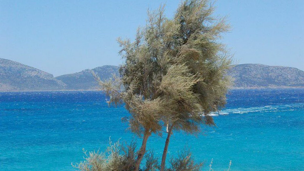 un viaggio incredibile, tour di creta