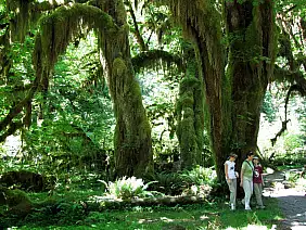 washington-region-7cen2