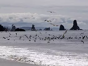 washington-region-aur9m