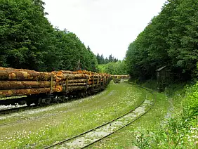 washington-region-gvpa8