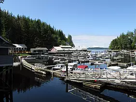 washington-region-h3gyn