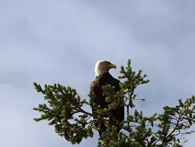 washington-region-mfqdk