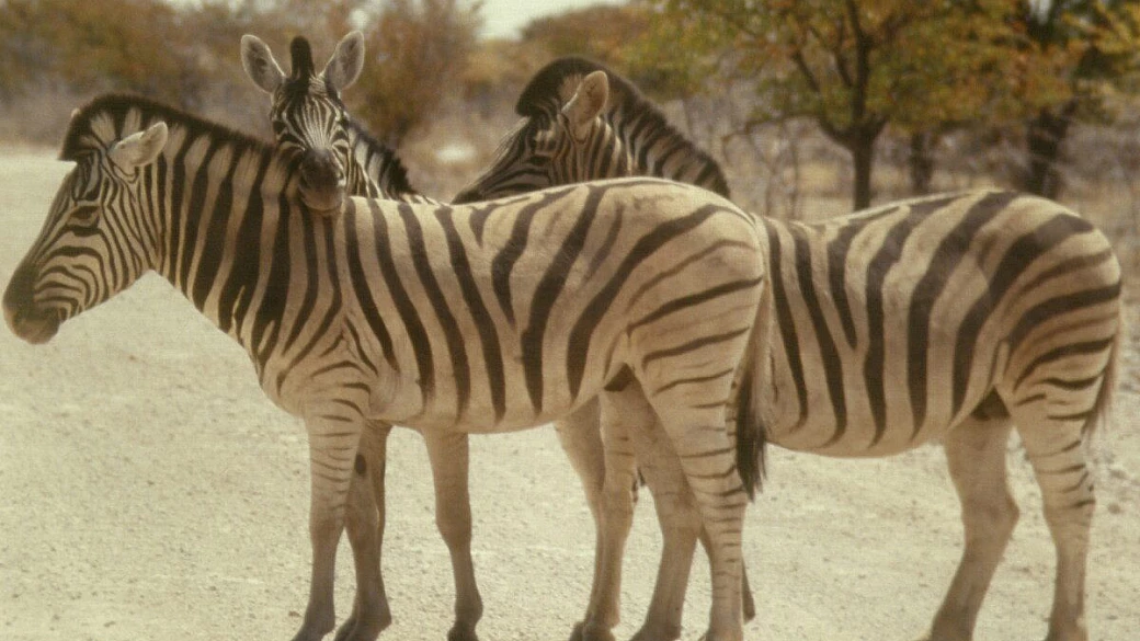namibia on the road 7