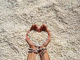 western-australia-46pmr