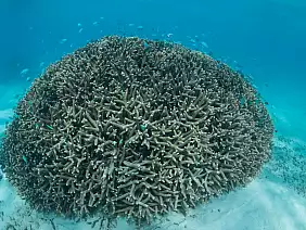 western-australia-mh7vu