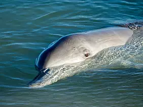 western-australia-q26v7