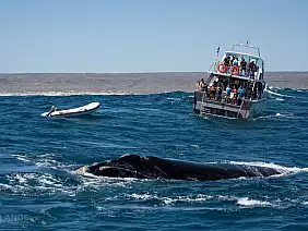 western-australia-sxfz7