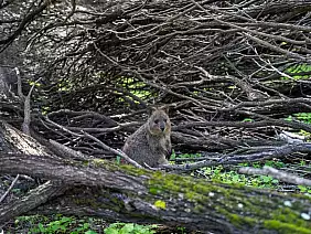 western-australia-un4ep